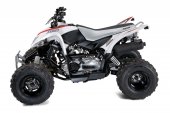 2010 Aeon Cobra  RS 180 photo